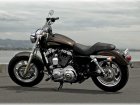 2013 Harley-Davidson Harley Davidson XL 1200C Sportster Custom